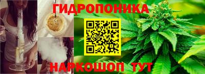 трава Севастополь