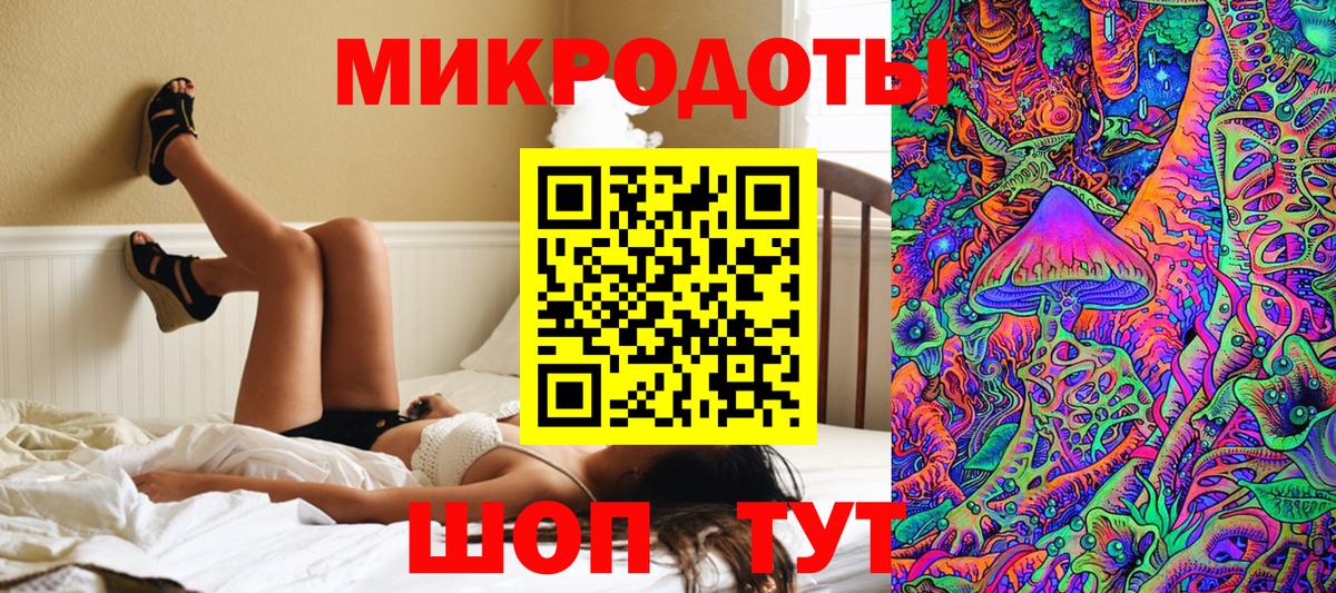 Псилоцибиновые грибы Psilocybe Усолье-Сибирское